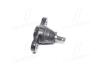 Опора шаровая_ELANTRA 06-10 / AVANTE 06-10 / CERATO 09-13 / FORTE 09-13 / I30 10- / OPTIMA 06-10 Hyundai/Kia/Mobis 517602G000 (фото 1)