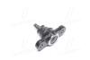 Опора шаровая_ELANTRA 06-10 / AVANTE 06-10 / CERATO 09-13 / FORTE 09-13 / I30 10- / OPTIMA 06-10 Hyundai/Kia/Mobis 517602G000 (фото 3)