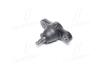 Опора шаровая_ELANTRA 06-10 / AVANTE 06-10 / CERATO 09-13 / FORTE 09-13 / I30 10- / OPTIMA 06-10 Hyundai/Kia/Mobis 517602G000 (фото 4)