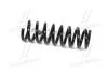 Пружина підвіски задня Carens (06-) Mobis Hyundai/Kia/Mobis 55350-1D300 (фото 3)