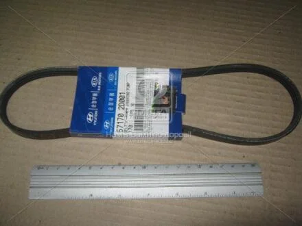 Ремень полікліновий насосу ГУР Matrix (08-) Mobis Hyundai/Kia/Mobis 57170-2D001