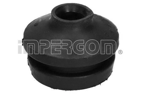 Опора, двигун IMPERGOM 30209