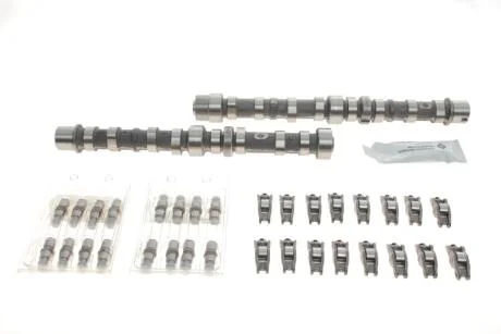 Комплект розподільчого вала INA 428 0030 30