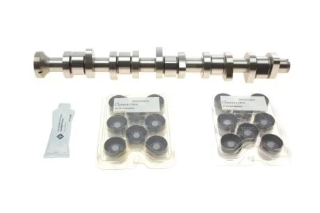 Комплект розподільчого вала INA 428 0040 30