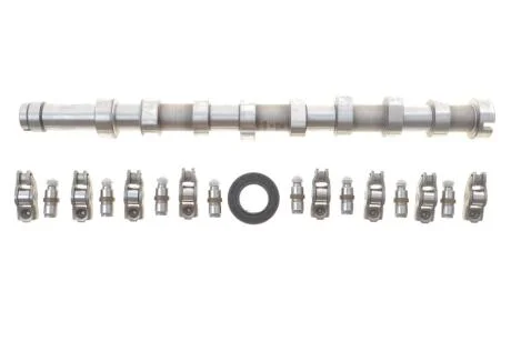 Комплект валу розподільчого з рокерами та компенсаторами FORD/PSA 1.5/1.6 TDCi DV6 INA 428005630