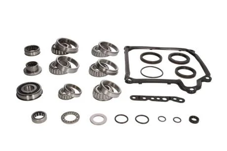 Ремонтный комплект 6 ступ. КПП VAG 02E INA 462 0146 10