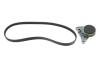 Поликлиновой ременный комплект SKODA SUPERB (3U4), 12, 01 - 03, 08 TDI (Пр-во INA) 529 0099 10
