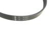 Поликлиновой ременный комплект SKODA SUPERB (3U4), 12, 01 - 03, 08 TDI INA 529 0099 10 (фото 3)