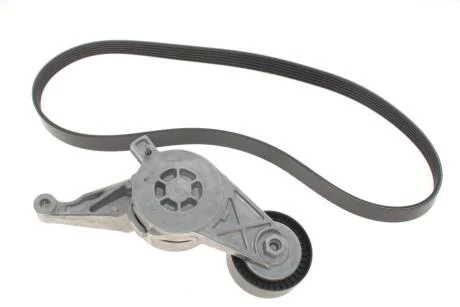 Комплект (ремінь+ролики) INA 529 0469 10