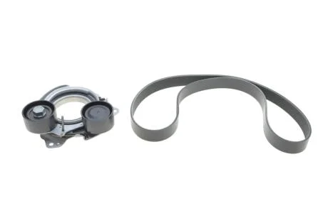 Комплект поліклинових ременів INA 529056810