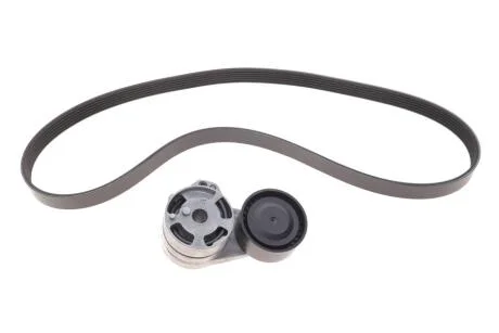 Комплект поліклинових ременів INA 529057610