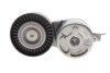 Натяжитель поликлинового ремня (17x65x23) Ford Mondeo 1.8TDCi 06-15 INA 534 0412 10 (фото 5)