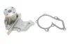 Насос водяний Ford Fiesta IV/V, Focus. Fusion 1.0i/1.25/1.4i/1.6 16V 95-12, Mazda 2 03-07 INA 538 0288 10 (фото 2)