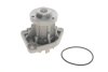 Насос системи охолодження OPEL, SAAB Ruville 65346 INA 538 0317 10 (фото 1)