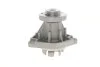 Насос системи охолодження OPEL, SAAB Ruville 65346 INA 538 0317 10 (фото 4)