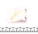 Комплект цепи OPEL AGILA/ASTRA/CORSA/MERIVA 98- 1.0-1.4 ГРМ INA 559 0025 30 (фото 11)