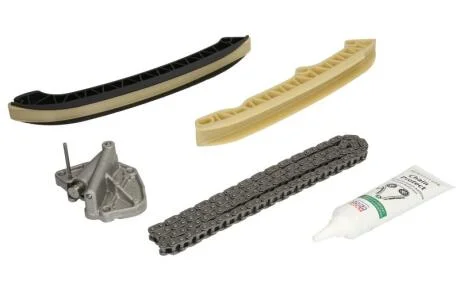 Комплект ланцюга приводу розподільного вала INA 559 0070 10