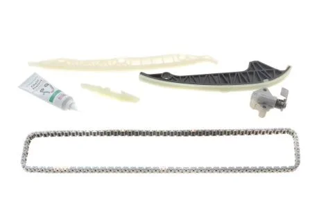 Комплект ланцюг натягувач INA 559019622