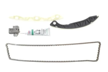 Комплект ланцюг натягувач INA 559180020