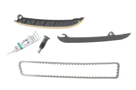 Комплект привідного ланцюга INA 559180720