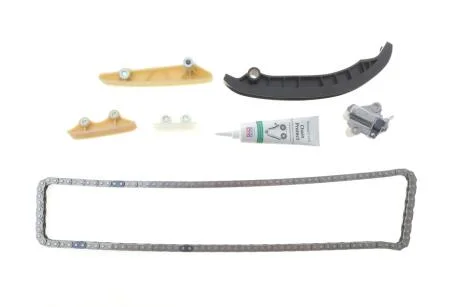 Комплект ланцюг натягувач INA 559181220