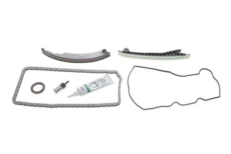 Комплект ланцюгів привода INA 559183120