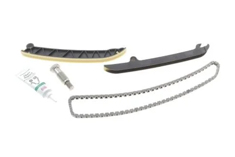 Комплект ланцюг натягувач INA 559183820