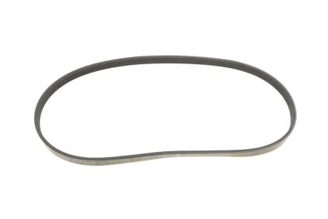 Пас привідний з довжиною кола понад 60см, але не більш як 180см INA FB4PK810