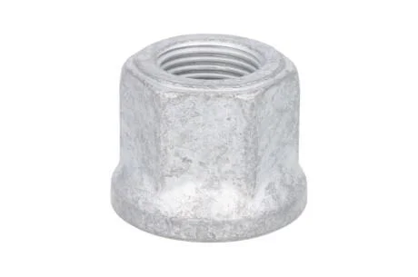 Гайка ресори IVECO 41225645