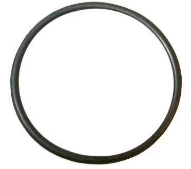 Прокладка VAG A2/A3/A4/A6/BORA/CADDY III/FABIA фланца сист.охлаждения (мин. 10 шт.) JP GROUP 1119606400