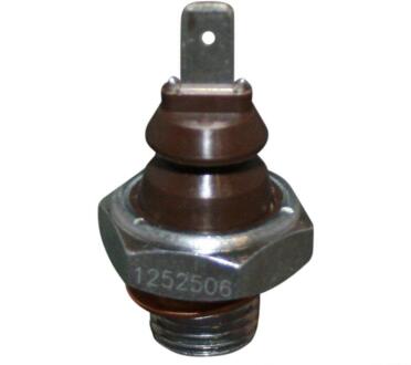 Датчик давления масла VAG BOXTER/CAYMAN 96- 2.7/3.4 JP GROUP 1293500200