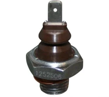 Датчик давления масла VAG BOXTER/CAYMAN 96- 2.7/3.4 JP GROUP 1293500200