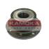 Ступиця колеса KAMOKA 5500031 (фото 1)