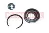 Подшипник ступицы Fiat Palio 96->,Palio weekend 01->,ALBEA 98-> перед.компл. KAMOKA 5600044 (фото 1)