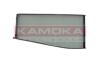Фильтр салона CHEVROLET EPICA/EVANDA 2.0 05 - KAMOKA F415201 (фото 1)