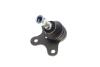 Опора шаровая (передняя/L) VW Polo/Lupo 94-05 KAPIMSAN 23-06206 (фото 4)