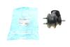 PARTS SUZUKI Подушка двигателя GRAND VITARA II 1.6 05-15, GRAND VITARA II 3.2 09-15 KAVO EEM-8506 (фото 1)