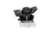 PARTS TOYOTA Опора двигуна права RAV 4 III 2.0/2.4 05-13 KAVO EEM-9379 (фото 4)