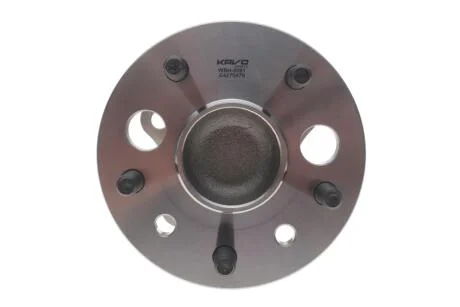 Комплект маточини з підшипником KAVO WBH-9081
