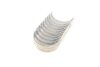 Вкладыши коренные FORD CONNECT/ESCORT/FIESTA/FOCUS/MONDEO/SIERRA (1.8D/TD/TDCI) King MB5592AM (фото 5)