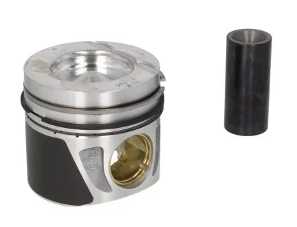 Поршень двигуна KOLBENSCHMIDT 40 776 600