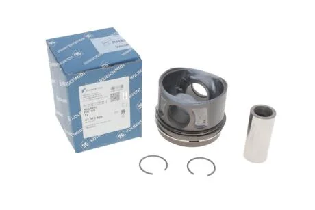 Поршнь KOLBENSCHMIDT 41 072 620