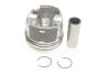 Поршень з кільцями VAG 81.01 AXD/AXE/BAC/BLJ/BLK (CYL 1-2) (KS) KOLBENSCHMIDT 41 091 600 (фото 1)