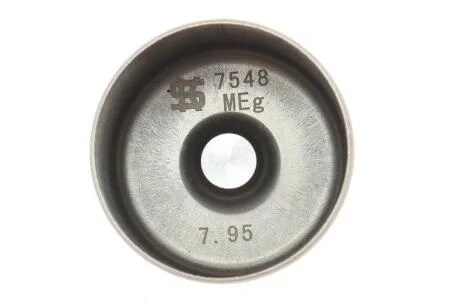 Гідрокомпенсатор KOLBENSCHMIDT 50 007 548