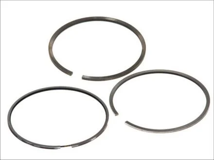 Кільця поршневі DAF 130.0 (4 / 3.16 / 4) WS EURO 0/1 / XF EURO 2 / XE EURO 3 KOLBENSCHMIDT 800005010000