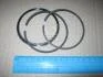 Кільця поршневі KOLBENSCHMIDT 800006511000 (фото 1)