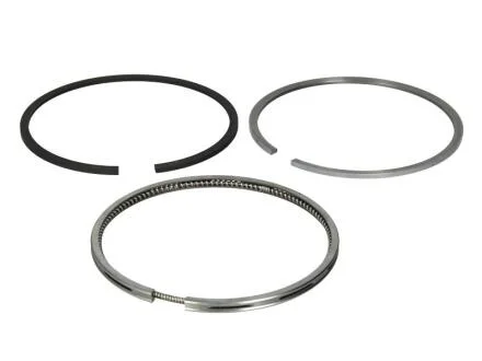 Кольца поршневые DIESEL PASSEND F. DEUTZ 100,00 (KS) KOLBENSCHMIDT 800012612000