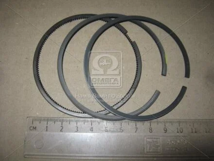 Кільця поршневі KOLBENSCHMIDT 800025011000