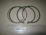 Кільця поршневі KOLBENSCHMIDT 800043911000 (фото 1)