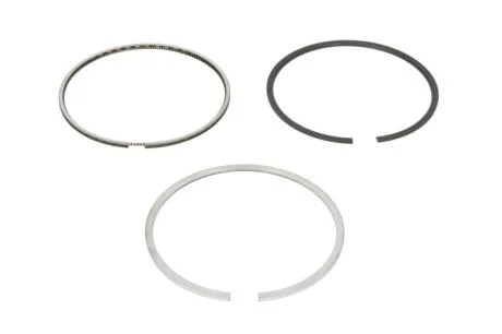 Кольца поршневые DIESEL PASSEND F. DEUTZ 98,00 (KS) KOLBENSCHMIDT 800055210000